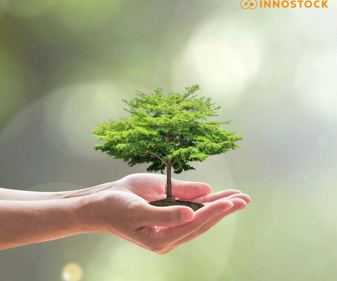 Handen die een plantje vasthouden, in teken van duurzaamheid